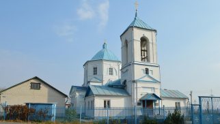Дмитриевская церковь, XIX в.